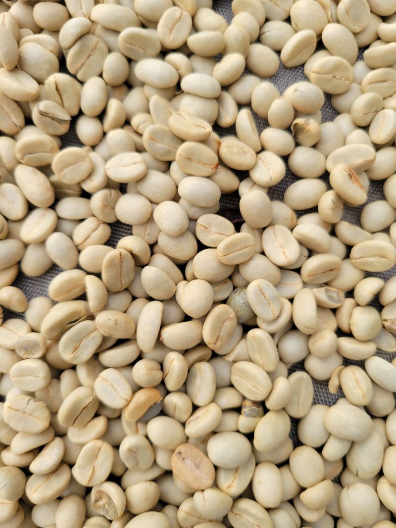 café 4